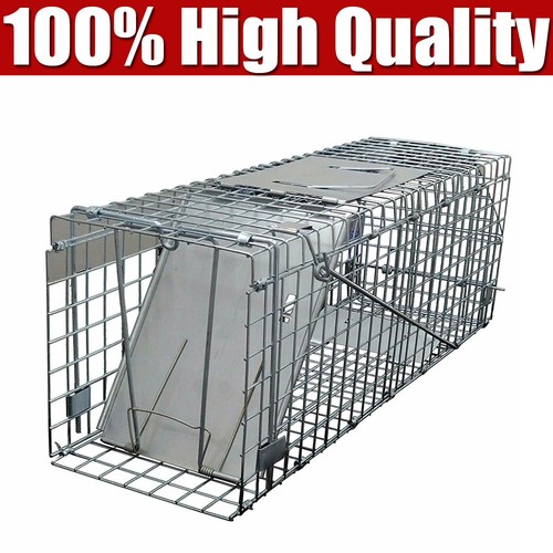 Cat trap for stray - for,