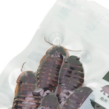 Dubia Roaches Food Nutritious Safe Healthy Vacuum Sealed Pet Roaches Food ~