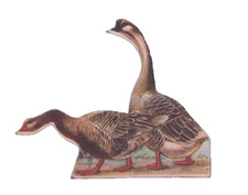 Whitman Educational Graphic