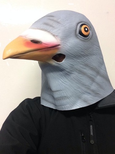 Pigeon mask latex full - full, head