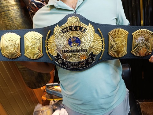 Winged eagle wrestling - winged,