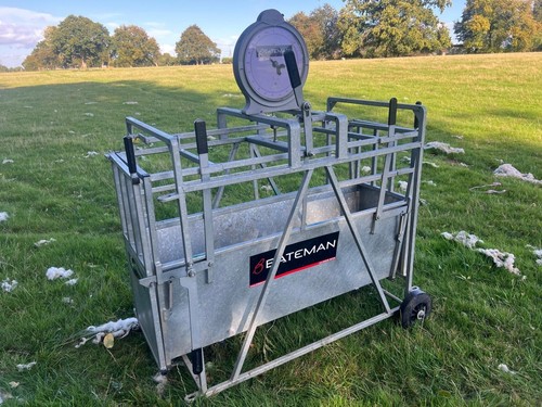 Bateman sheep weight crate - sheep,