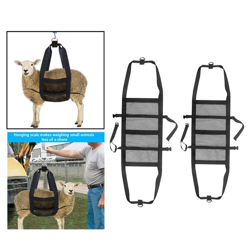 Livestock weighing strap calf - weighing,