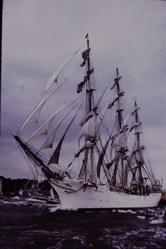 Steam sail 7804 shipping - &,