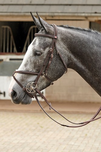John whitaker ready ride - john,