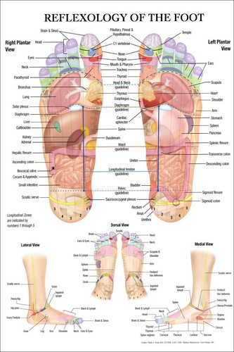 Reflexology of the - uk, ☑☑