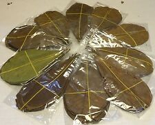 50 sea sand tree leaves approx. 10-15 cm - catappa leaves in bags - shrimp discus
