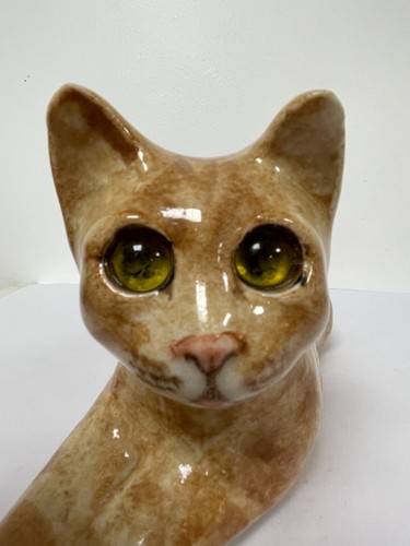 Winstanley ginger tabby cat - tabby,