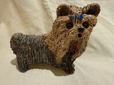 Yare Yorkshire Terrier Dog