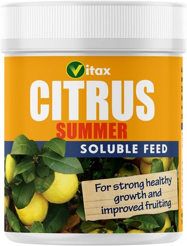 Citrus tree food summer - tree, feed