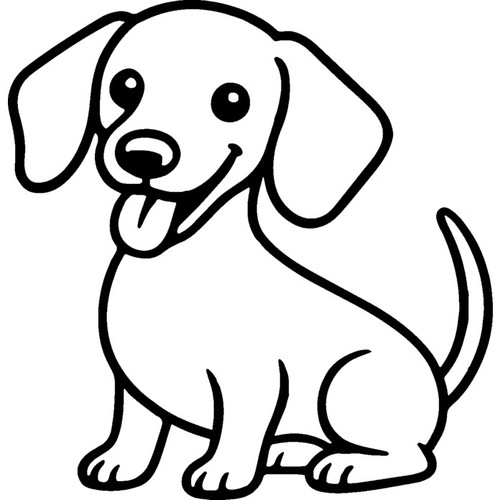 Miniature dachshund dog - 'miniature, dog'