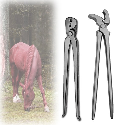 Professional farrier choice - professional, farrier's
