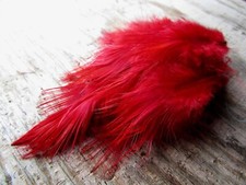 IFS Bleached Golden Pheasant Rump - Dyed Intense Red GP Shrimp Octopus