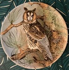 Gorgeous Coalport Fine Bone China Long Eared Owl LE Plate By Michael B Sawdy🦉