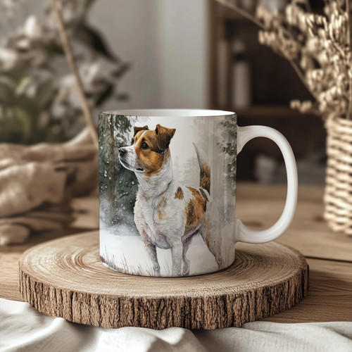 Jack russell terrier - jack,