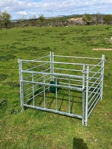 Sheep creep hurdles - sheep,