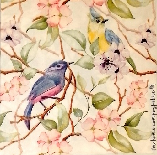 Ply animal birds - (pack, of