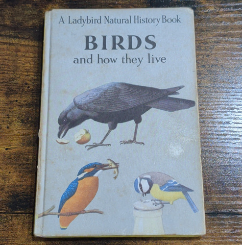 Ladybird natural history - natural, birds