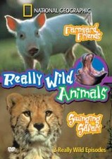 Really Wild Animals: Farmyard