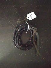 5' TRAINING SAVVY STRING