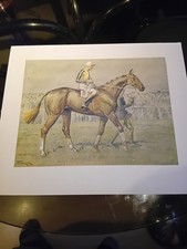 Snaffles A National Candidate