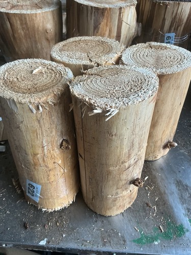 Decorative logs round - decorative, logs,x4,round