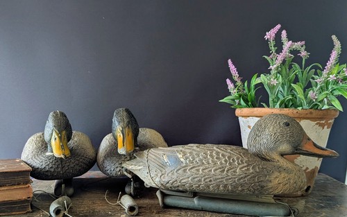 Plastic decoy ducks with - 3,