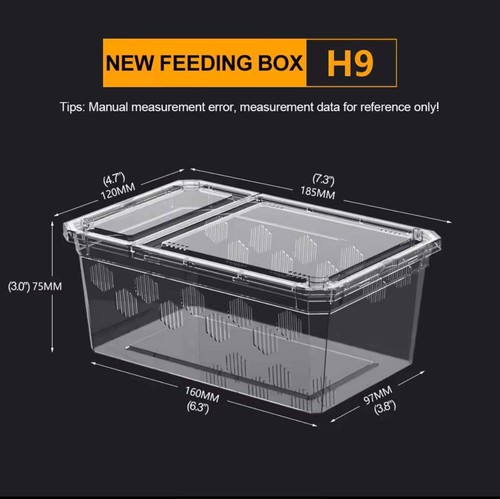 Tarantula box transparent - tarantula,