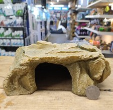 GECKO REPTILE LIZARD RUGGED