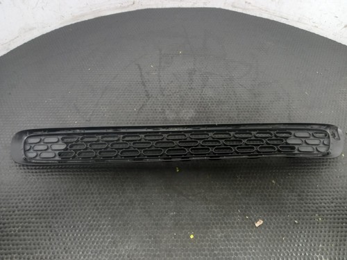 Mini grille - (bmw),