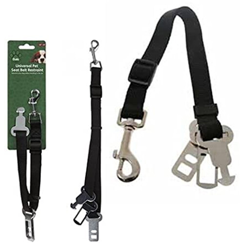Crufts dog universal - dog,