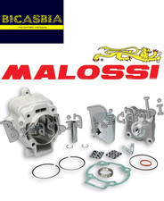 7698 - Cylinder Malossi DM 65 in Aluminum 172 CC Piaggio 125 150 Hexagon 2T LC
