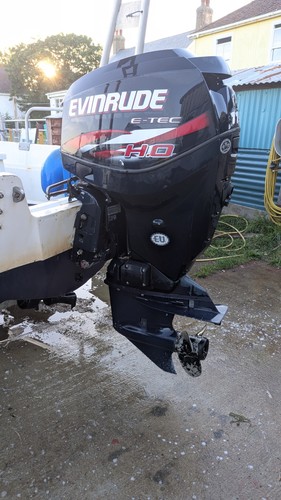 115hp evinrude etec 115ho - 115hp,