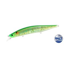 DUO REALIS JERKBAIT 160S SW Fishing Wobbler, Lenght mm 160, Sinking CPA3512