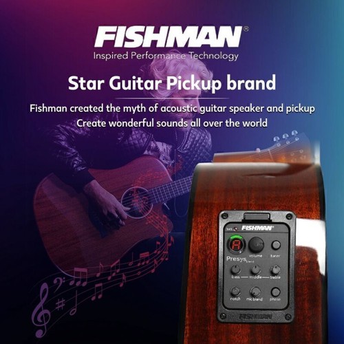 Fishman band 301 - band, tuner