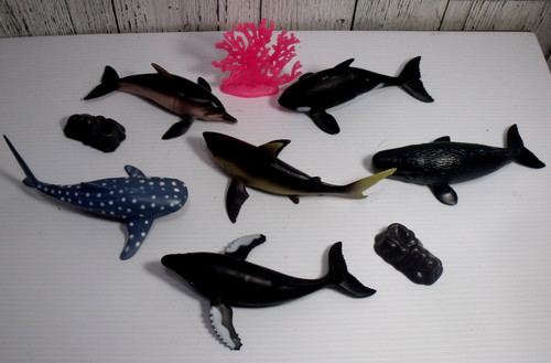 Sea creatures animals - animals, 9