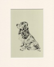 COCKER SPANIEL VINTAGE 1937