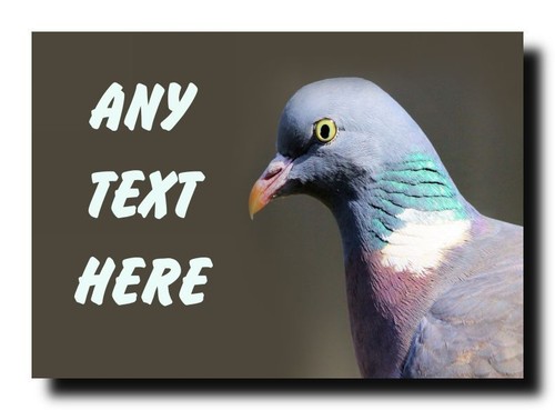 Pigeon bird personalised - bird, jumbo