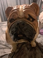 British Bull Dog  Life Size
