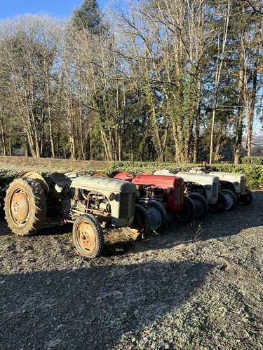 Ferguson tractors petrol and - tractors,