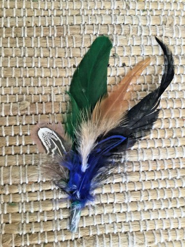 Feather for hat band - feather,