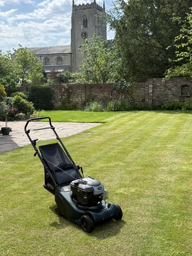 Hayter harrier push lawn - harrier,