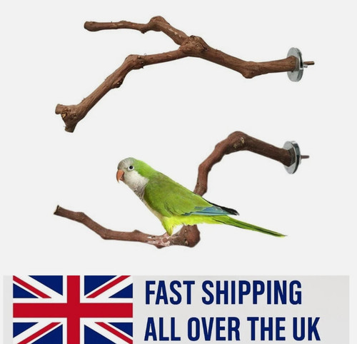Wooden parrot bird - parrot, tree