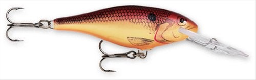 Rapala shad rap fishing - shad,