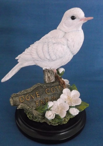 Country artists white dove - artists,