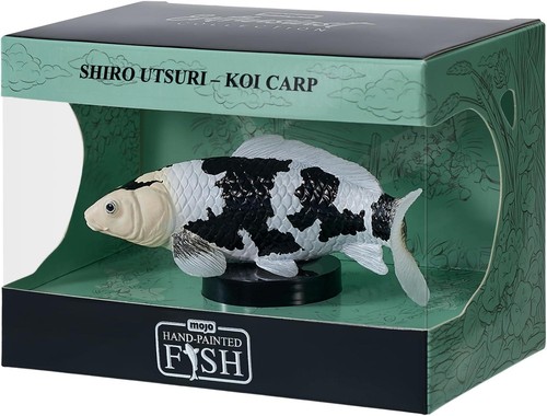 Shiro utsuri koi carp - koi,