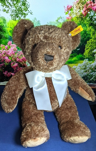 Steiff cosy bear 2021 - cosy, 2021.