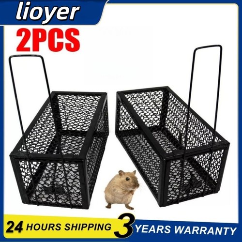 Rat mouse trap catcher - mouse,