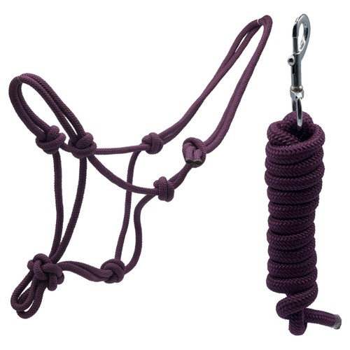 Rope polyester training halter - rope,