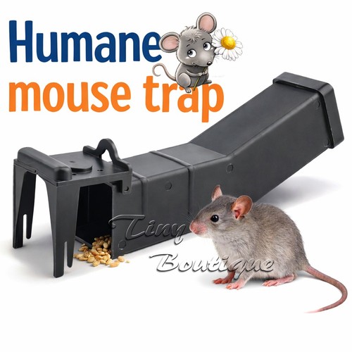 Humane mouse trap - humane, no